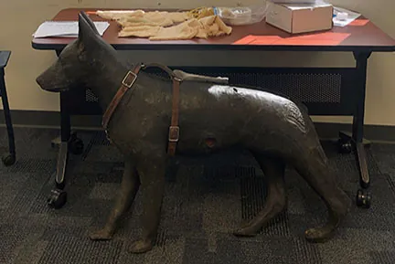 K9 First Aid & Tactical Combat Casualty Care