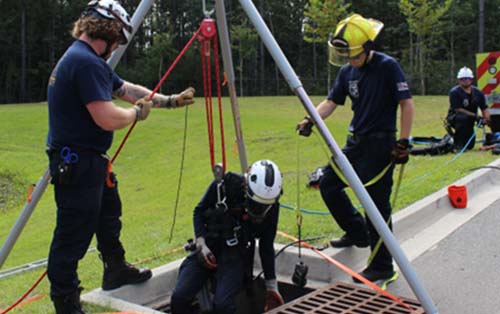 Animal Rescue from Sewers and Storm Drains