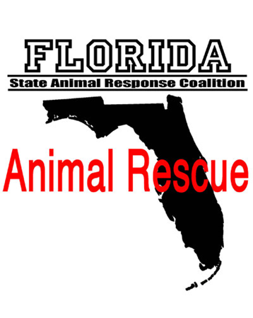 Enrollment Open: Multiple Courses for Small Animal Emergency Sheltering