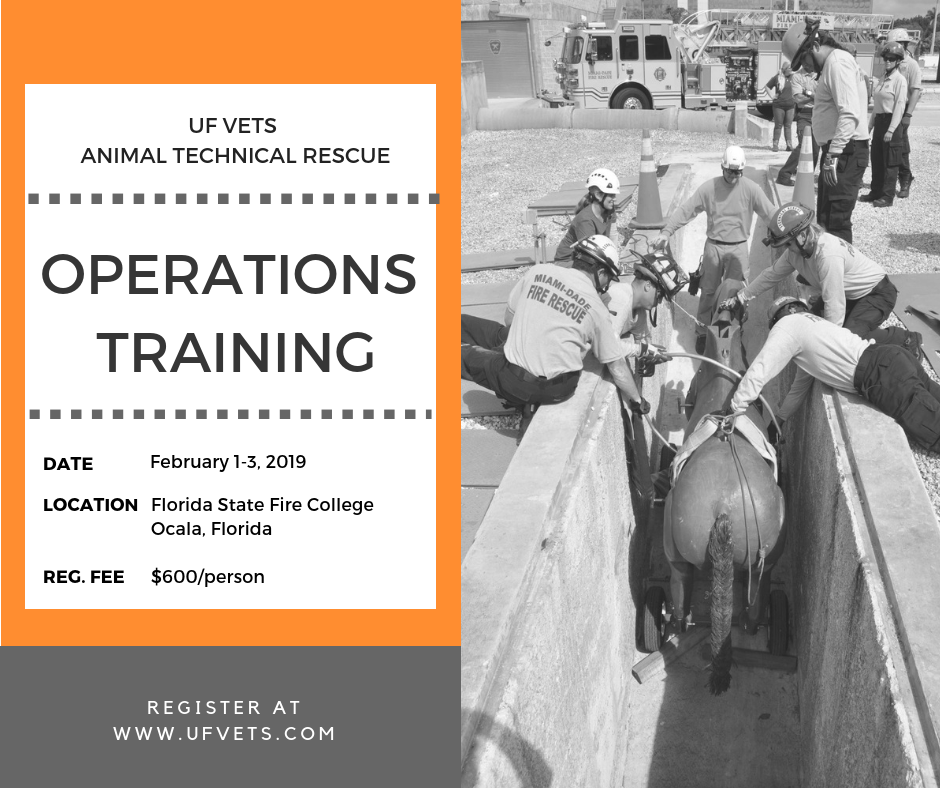 UF VETS to Host Technical Operations Course